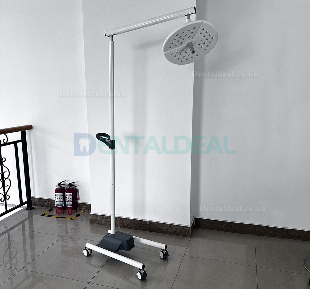 KWS KD-2036L-4 80W Mobile Dental LED Surgical Light Floor Standing